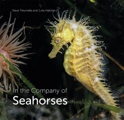 In the Company of Seahorses цена и информация | Книги о питании и здоровом образе жизни | pigu.lt