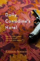 Dolly Considine's Hotel цена и информация | Фантастика, фэнтези | pigu.lt