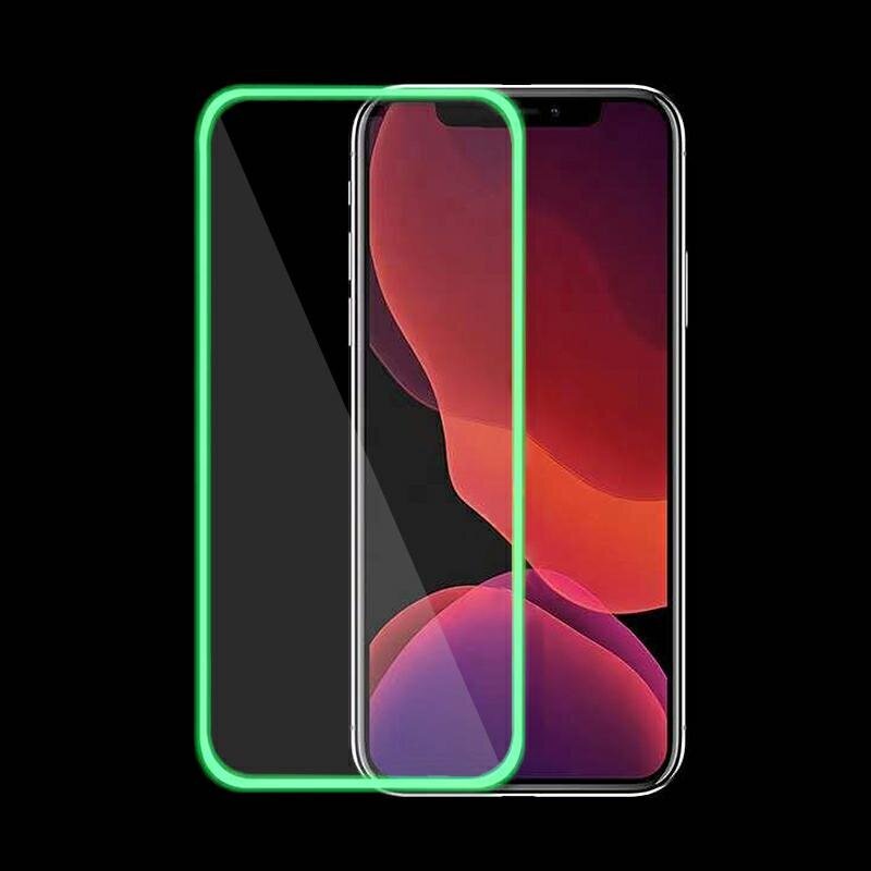 Apsauginis stiklas Fluo Glass skirtas iPhone 12 Pro Max kaina ir informacija | Apsauginės plėvelės telefonams | pigu.lt