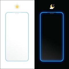 Fluo Glass защитное стекло Iphone XS Max 6,5" синий цена и информация | Защитные пленки для телефонов | pigu.lt