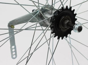 Galinis ratas 20", sidabrinis kaina ir informacija | Kitos dviračių dalys | pigu.lt