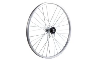 Galinis ratas 20", sidabrinis kaina ir informacija | Kitos dviračių dalys | pigu.lt