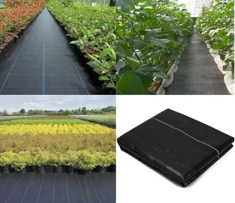 Agrotekstilė nuo piktžolių JohnGreen 0.8x50 m, 70 g/m2, juoda kaina ir informacija | Sodo įrankiai | pigu.lt