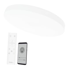 Потолочный белый светодиодный светильник Bolton 48W цена и информация | Потолочные светильники | pigu.lt