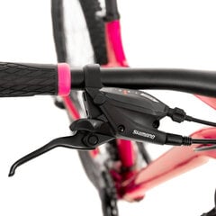 Kalnų dviratis Rock Machine Catherine 27.5", rožinis kaina ir informacija | Dviračiai | pigu.lt