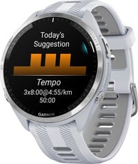 Garmin Forerunner® 965 Whitestone/Powder Grey цена и информация | Смарт-часы (smartwatch) | pigu.lt