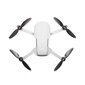 DJI Mini 2 SE Fly More Combo kaina ir informacija | Dronai | pigu.lt