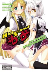 High School DxD: Asia & Koneko's Secret Contract!? цена и информация | Фантастика, фэнтези | pigu.lt