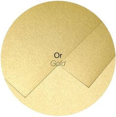 Декоративный конверт Pollen, Clairefontaine, C5 (162x229мм), 120г/м2, глянцевый, золотистый цена и информация | Конверты, открытки | pigu.lt