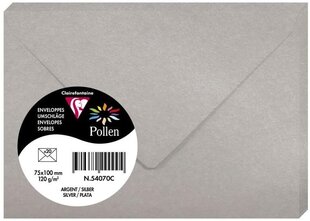 Декоративный конверт Pollen, Clairefontaine, C6 (114x162мм), 120г/м2, глянцевый, серебристый сп. цена и информация | Конверты, открытки | pigu.lt