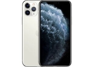 iPhone 11 Pro Max 256GB (Oбновленный, состояние как новый) цена и информация | Мобильные телефоны | pigu.lt