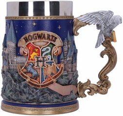 Harry Potter Hogwarts 600 ml цена и информация | Атрибутика для игроков | pigu.lt