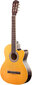 Akustinė gitara Axesmith Classic Cutaway 39 цена и информация | Gitaros | pigu.lt