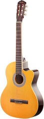 Akustinė gitara Axesmith Classic Cutaway 39 kaina ir informacija | Gitaros | pigu.lt