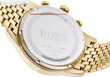 Laikrodis vyrams Hugo Boss 1513531 цена и информация | Vyriški laikrodžiai | pigu.lt