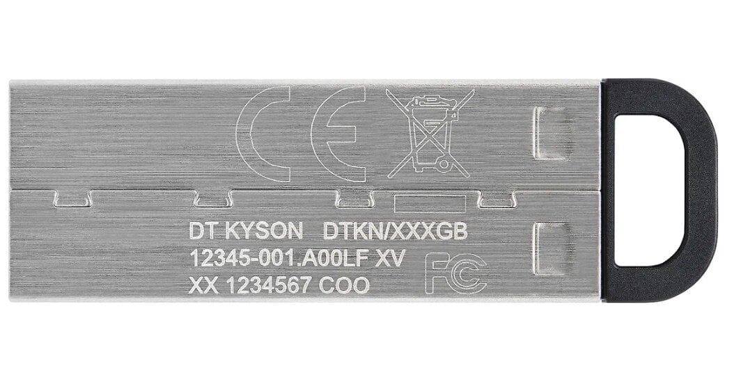 Kingston DataTraveler 128GB USB 3.2 kaina ir informacija | USB laikmenos | pigu.lt