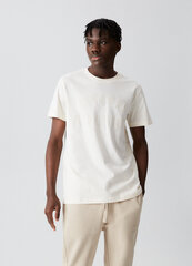 Marškinėliai vyrams Diverse ATH T 123, balti kaina ir informacija | Vyriški marškinėliai | pigu.lt