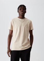 Marškinėliai vyrams Diverse ATH T 123, smėlio spalvos kaina ir informacija | Vyriški marškinėliai | pigu.lt