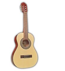 Klasikinė gitara Cort AC55 991111 kaina ir informacija | Gitaros | pigu.lt