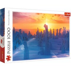 Dėlionė su vaizdu į gamtą Trefl, 1000 d kaina ir informacija | Dėlionės (puzzle) | pigu.lt