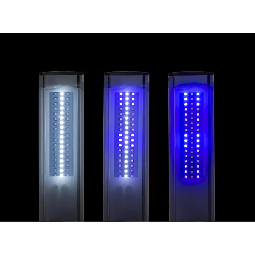 Apšvietimas akvariumams Leddy Slim Duo Marine&Actinic LED, 10 W kaina ir informacija | Akvariumai ir jų įranga | pigu.lt