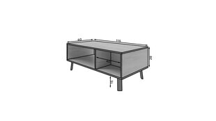 Кофейный столик ADRK Furniture Lofton Craft, коричневый цена и информация | Журнальные столики | pigu.lt