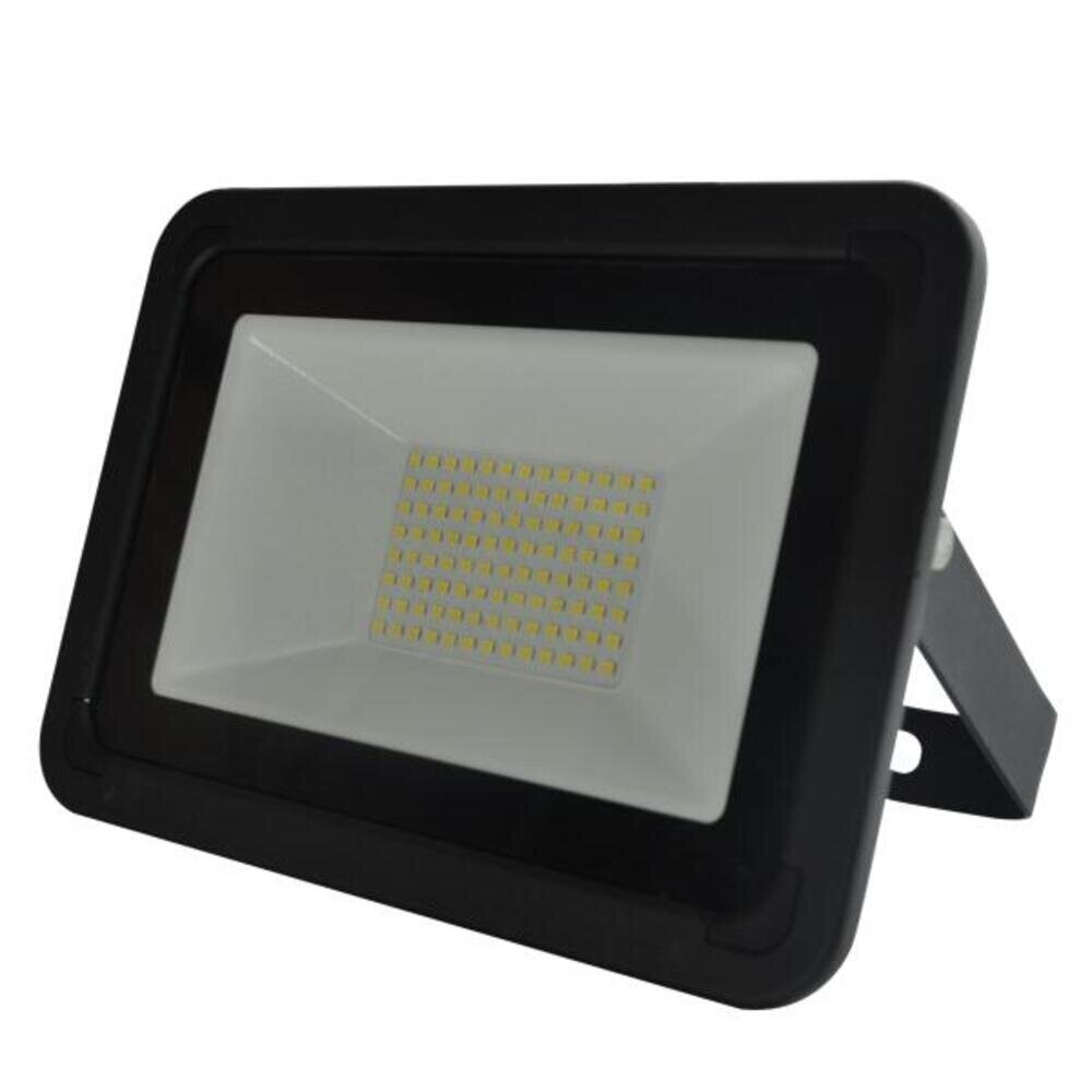 LED lauko šviestuvas 50W kaina ir informacija | Lauko šviestuvai | pigu.lt