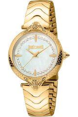 Moteriškas laikrodis Just Cavalli JC1L238M0065 kaina ir informacija | Moteriški laikrodžiai | pigu.lt