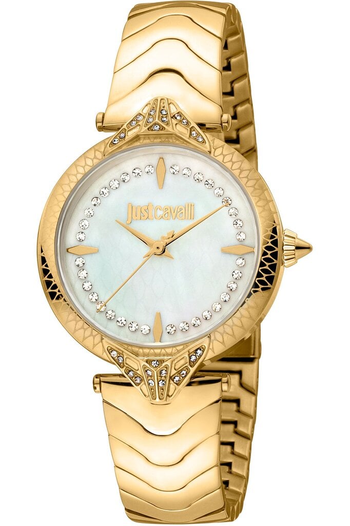 Moteriškas laikrodis Just Cavalli JC1L238M0065 kaina ir informacija | Moteriški laikrodžiai | pigu.lt