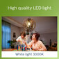 Elektros lemputė LED Philips, E27, 1 vnt. kaina ir informacija | Elektros lemputės | pigu.lt