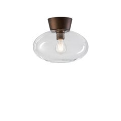 Настольная лампа Belid Оксид металла/прозрачное стекло 223610718 цена и информация | Потолочные светильники | pigu.lt