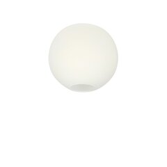 Belid Настольная лампа Стекло Опаловое стекло 2040389 цена и информация | Потолочные светильники | pigu.lt