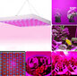 Wcctnydy E13984245 kaina ir informacija | Daigyklos, lempos augalams | pigu.lt