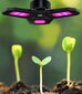 Phito E18633471 kaina ir informacija | Daigyklos, lempos augalams | pigu.lt