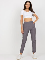 Женские темно-фиолетовые брюки из ткани цена и информация | Женские брюки | pigu.lt