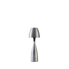 Настольная лампа Belid Anemon 410507 цена и информация | Настольные светильники | pigu.lt