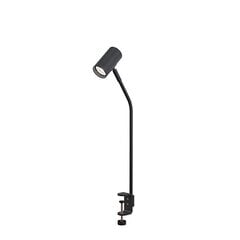 Настольная лампа Belid металлическая черная структура 4889086 цена и информация | Настольные светильники | pigu.lt