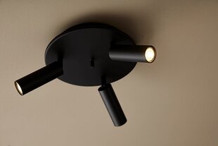 Belid Точечные светильники металлические плоские черные 6902232 цена и информация | Потолочные светильники | pigu.lt