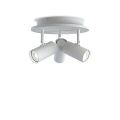 Belid Spotlights Metal White текстура 6326068 цена и информация | Монтируемые светильники, светодиодные панели | pigu.lt