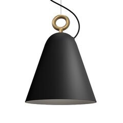 Подвесной светильник Herstal цена и информация | Люстры | pigu.lt