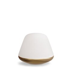 Настольная лампа Herstal Bloom HV462019218 цена и информация | Настольные светильники | pigu.lt