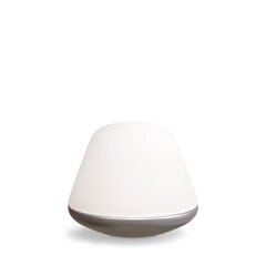 Настольная лампа Herstal Bloom HV462020718 цена и информация | Настольные светильники | pigu.lt