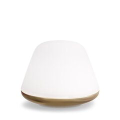 Настольная лампа Herstal Bloom HV462119218 цена и информация | Настольные светильники | pigu.lt