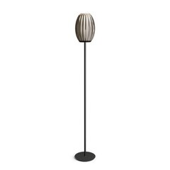 Напольная лампа Herstal металл/акрил черный/копченый HB140822000164 цена и информация | Торшеры | pigu.lt