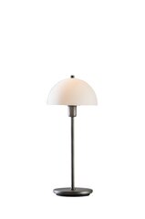 Настольная лампа Herstal металл/стекло графит HV13071113320 цена и информация | Настольные светильники | pigu.lt
