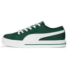 Laisvalaikio batai vyrams Puma SW952845.1268 kaina ir informacija | Kedai vyrams | pigu.lt