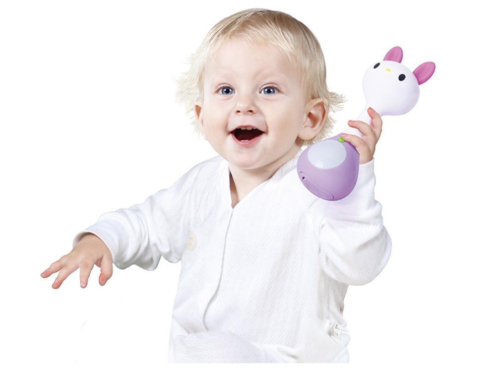 Barškutis Hola Zuikis 3 mėn+ kaina ir informacija | Žaislai kūdikiams | pigu.lt