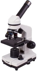 Микроскоп Levenhuk Rainbow D2L+ Мпикс, 40x-400x / лунный камень с экспериментальным набором цена и информация | Телескопы и микроскопы | pigu.lt