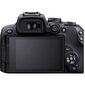 Canon D.CAM EOS R10 24.2 MP kaina ir informacija | Skaitmeniniai fotoaparatai | pigu.lt