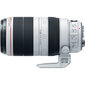 Canon EF 100-400mm f/4.5-5.6L IS II USM kaina ir informacija | Objektyvai | pigu.lt